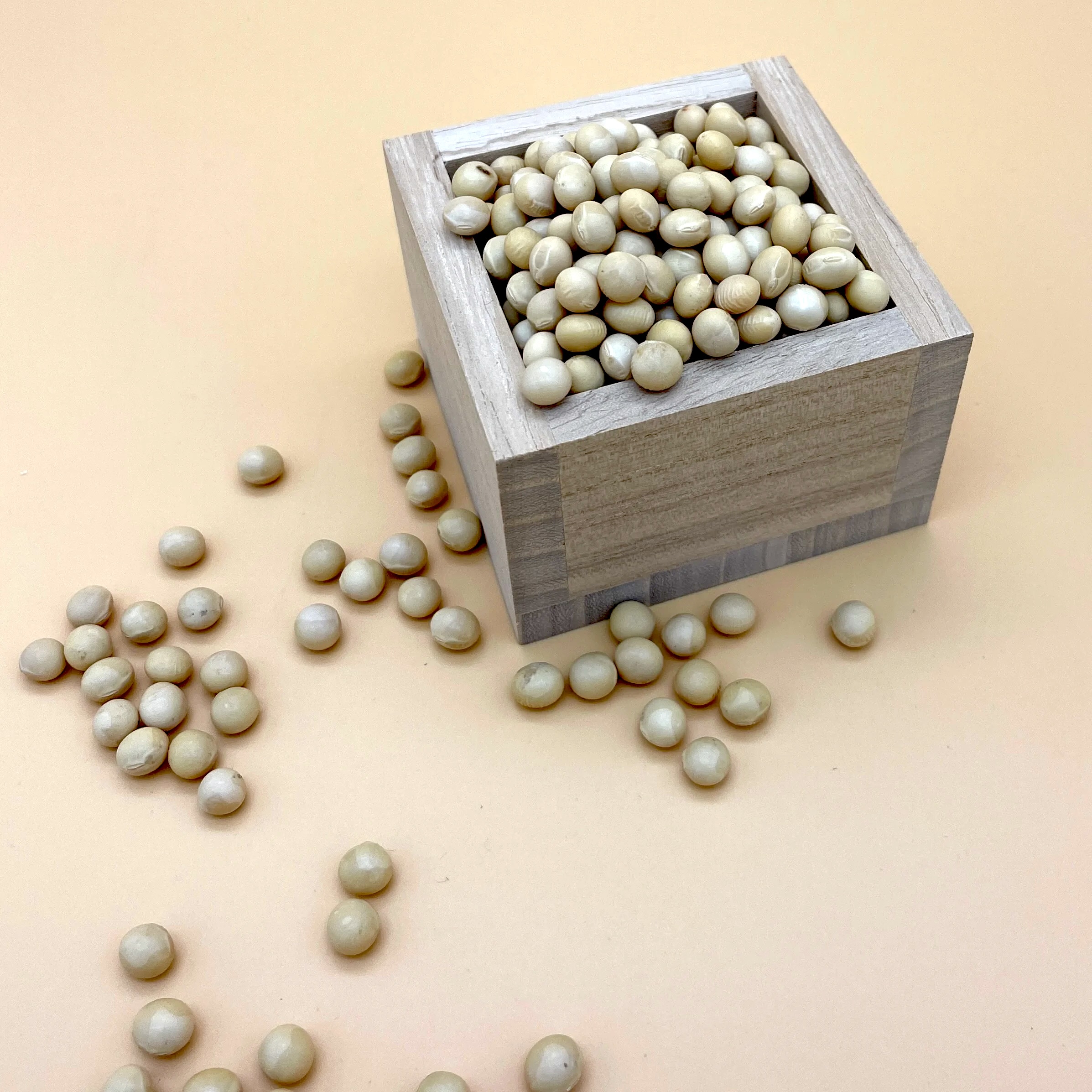 自然栽培大豆 2kg〜30kg袋まで　『里のほほえみ』『秘伝豆』『エンレイ』『タチユタカ』など各種