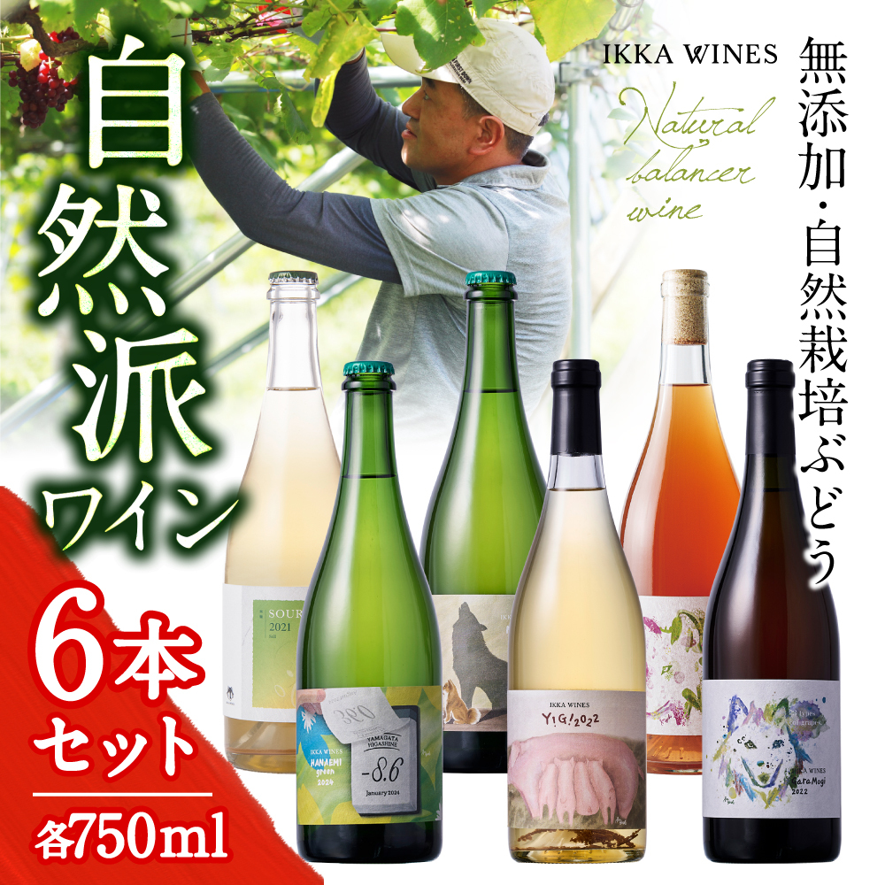 自然栽培ナチュラルワイン厳選6本セット｜いにしえ推しの6銘柄〈送料無料〉
