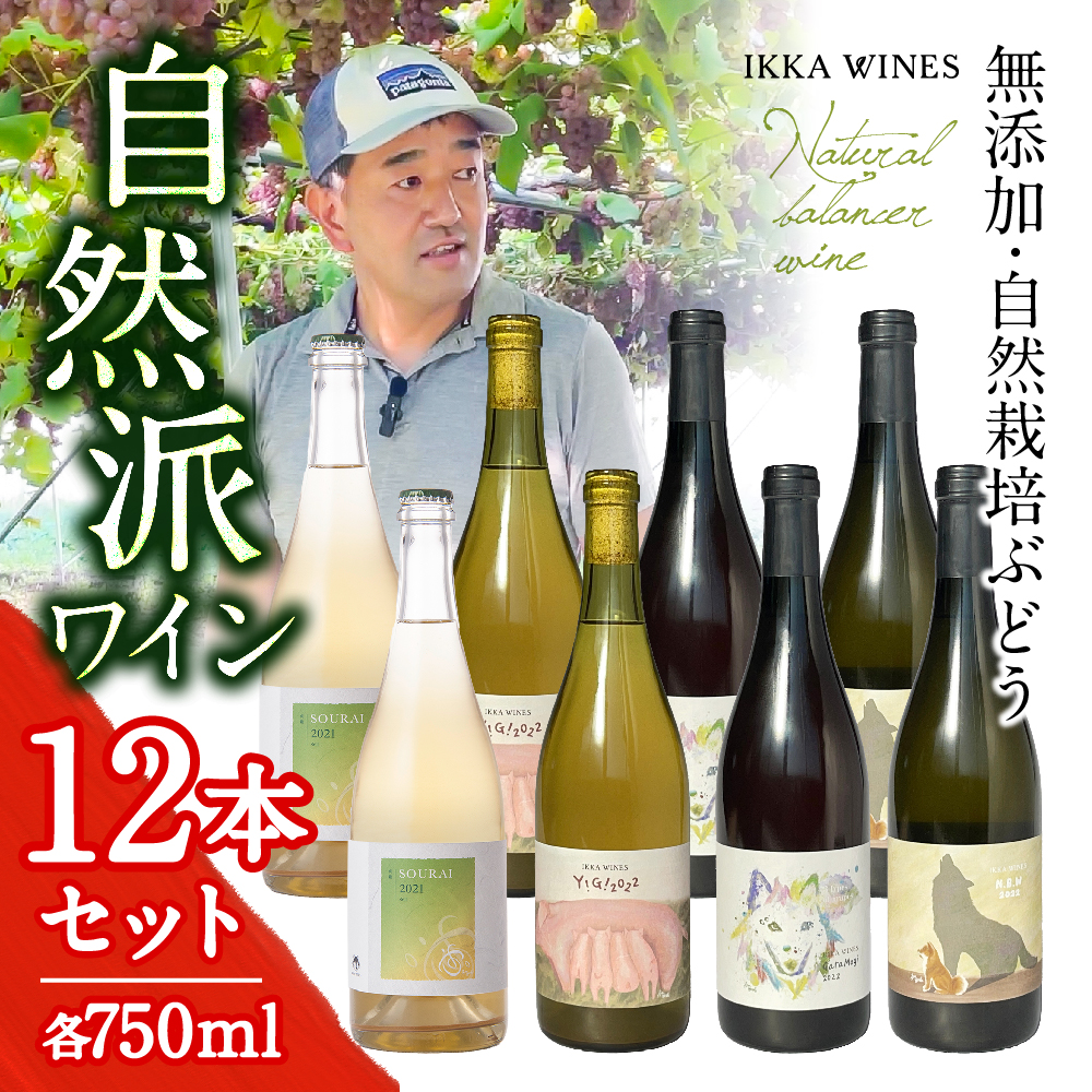 いにしえナチュラルワイン 12本セット　750ml 4 種×各3本　（Y!G!、GaraMogi、N.B.W、SOURAI）