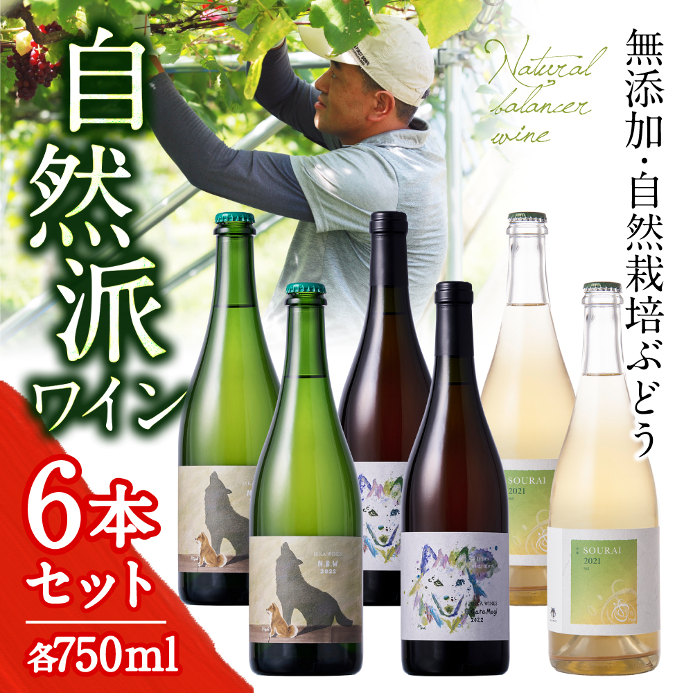 自然栽培ナチュラルワイン6本セット｜代表3銘柄×各2本〈送料無料〉