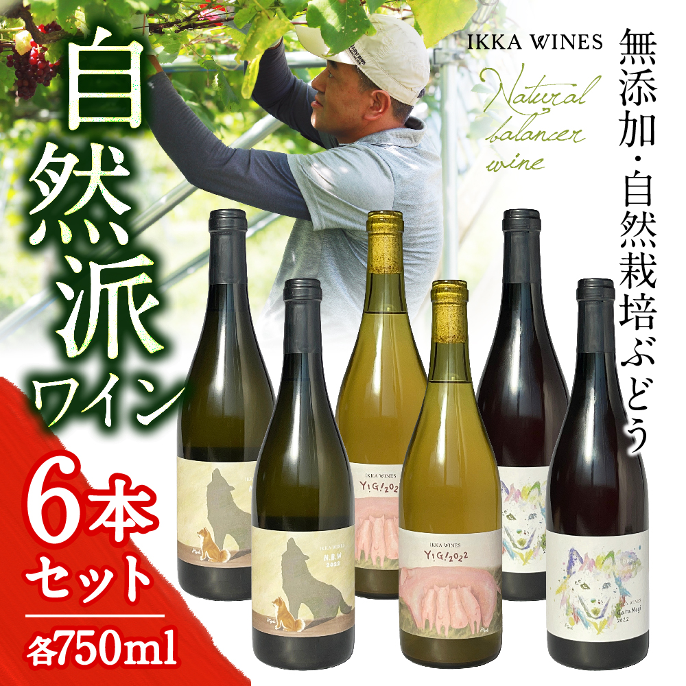 [送料無料]ナチュラルワイン 6本セット　750ml ３種×各２本（Y!G!、GaraMogi、N.B.W）