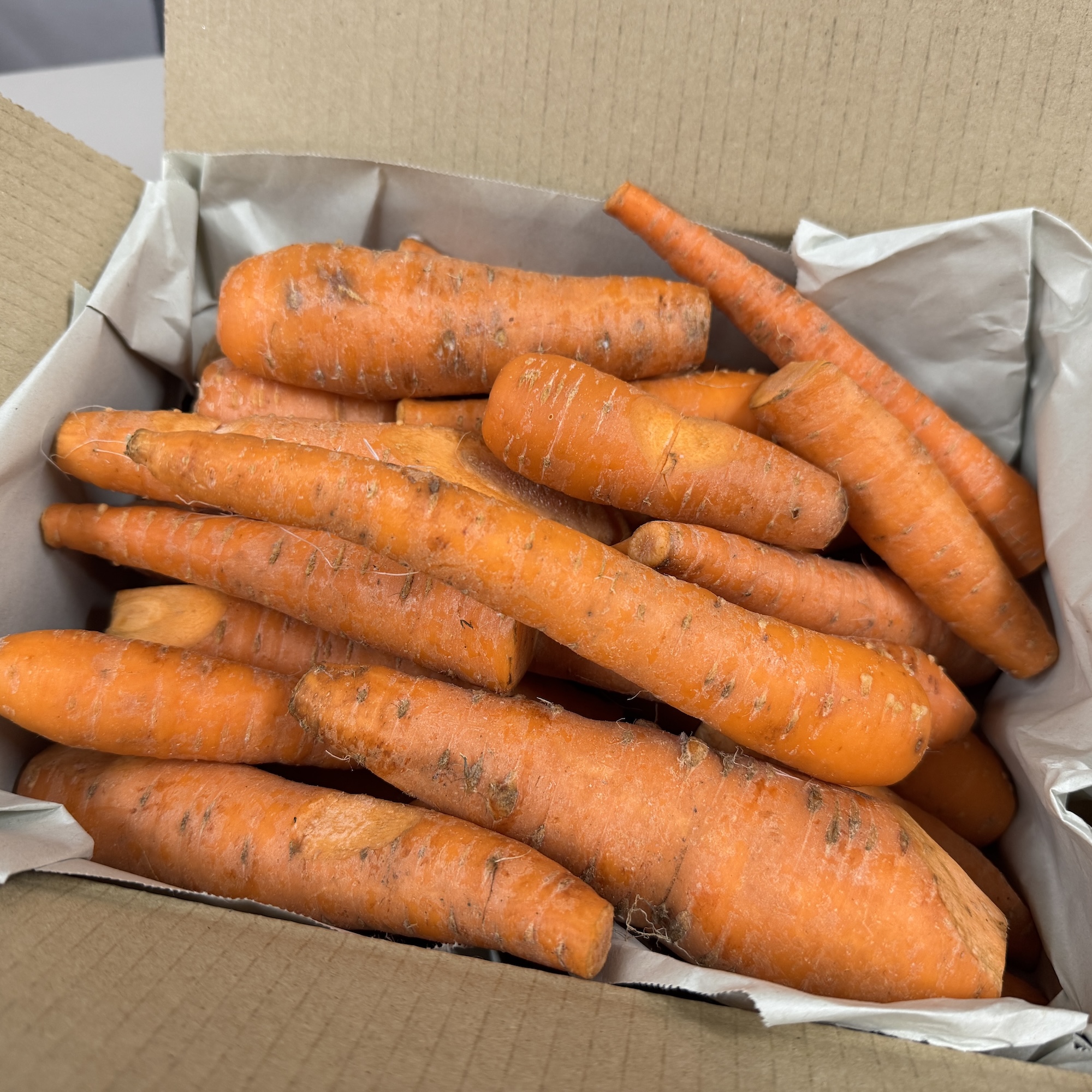 【年末特価！】　自然栽培『にんじん』サイズバラ【青森県はる農園の喉越しの良い野菜シリーズ】