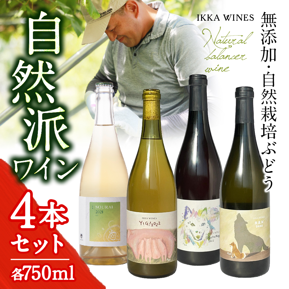 自然栽培ナチュラルワイン4本セット｜飲むほどに自然が豊かになる〈いにしえ〉
