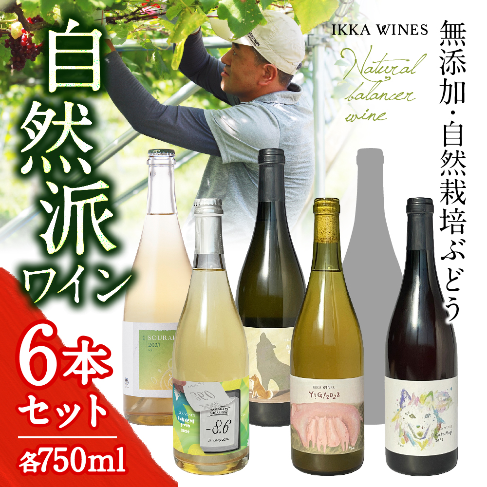いにしえナチュラルワイン ６本セット 750ml 5種×各1本＋おまかせ　（Y!G!、GaraMogi、N.B.W、SOURAI、HANAEM Green）