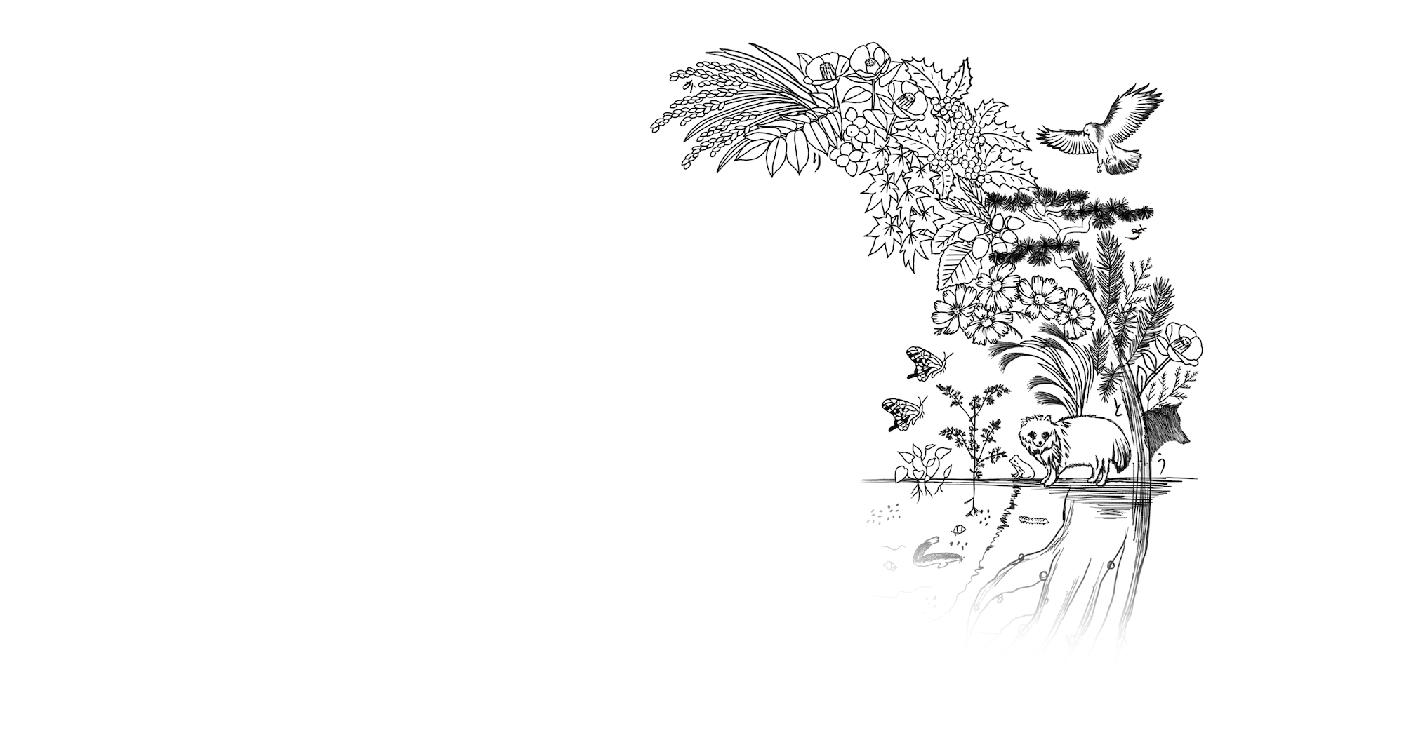 生態適合農業から生まれる、いにしえの食