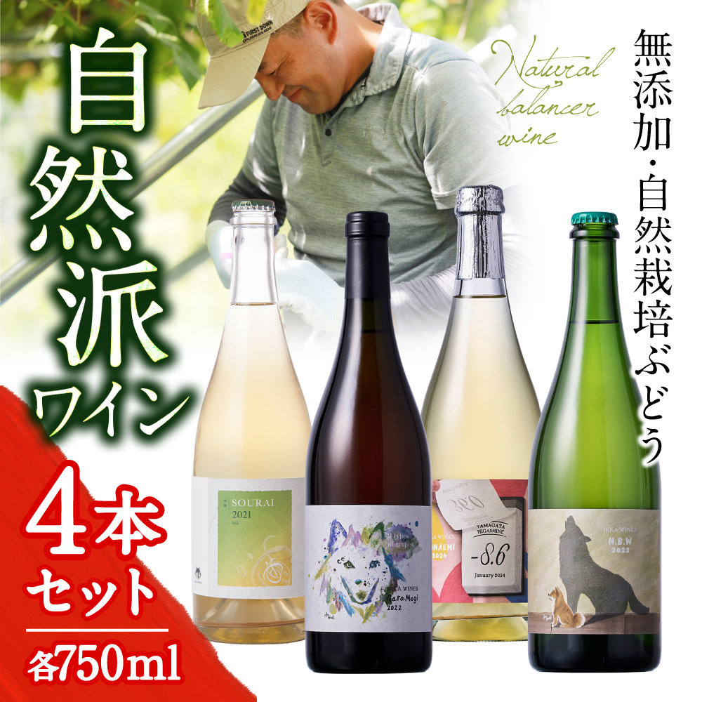 自然栽培ナチュラルワイン4本セット｜飲むほどに自然が豊かになる〈いにしえ〉