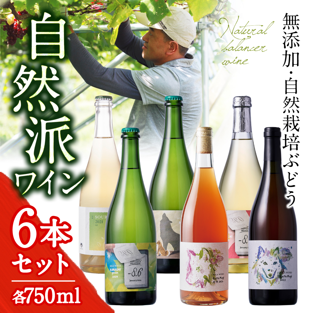 自然栽培ナチュラルワイン厳選6本セット｜いにしえ推しの6銘柄〈送料無料〉