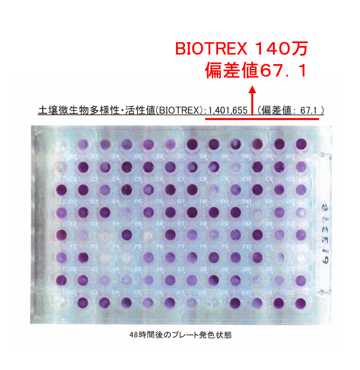 “土壌微生物活性値”