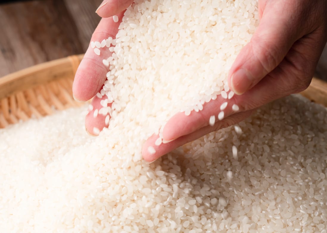 ザルの上の白米を手ですくっている写真