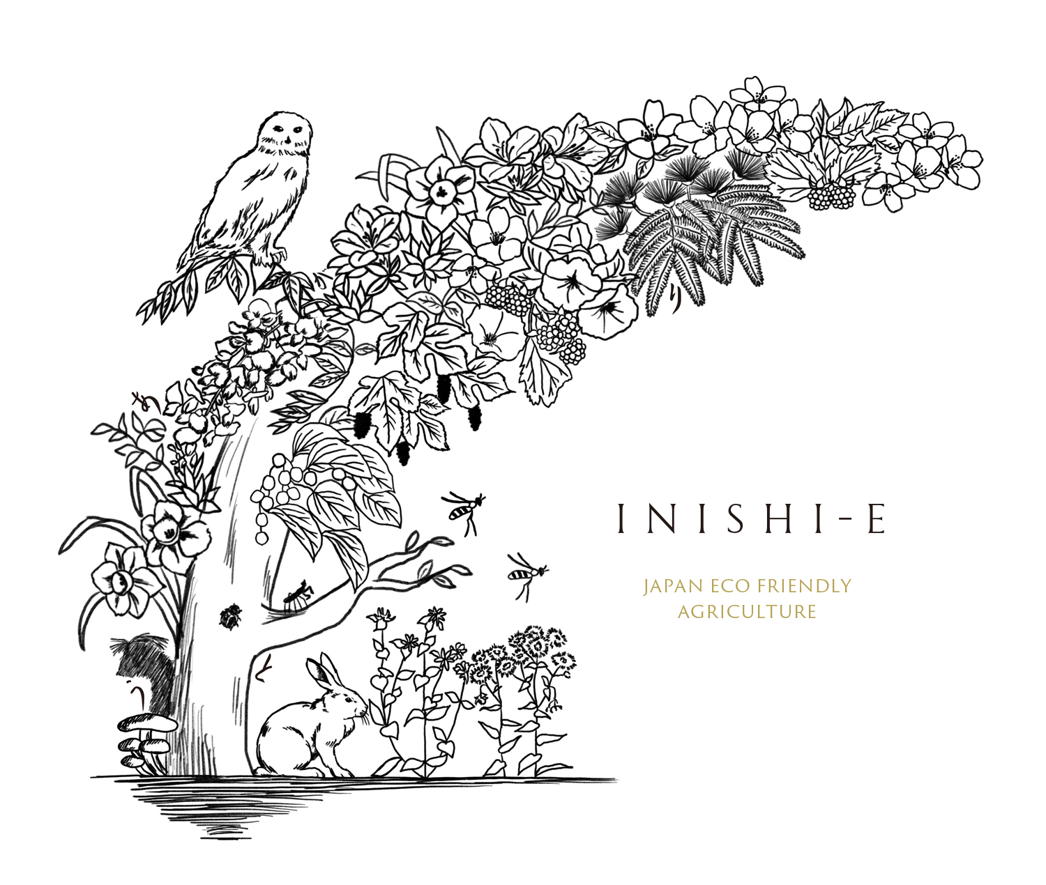 いにしえ｜自然栽培・発酵・ナチュラルワイン・味噌・納豆のお役立ち情報