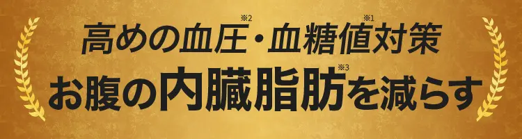高めの血圧・血糖値・お腹の内臓脂肪を減らす