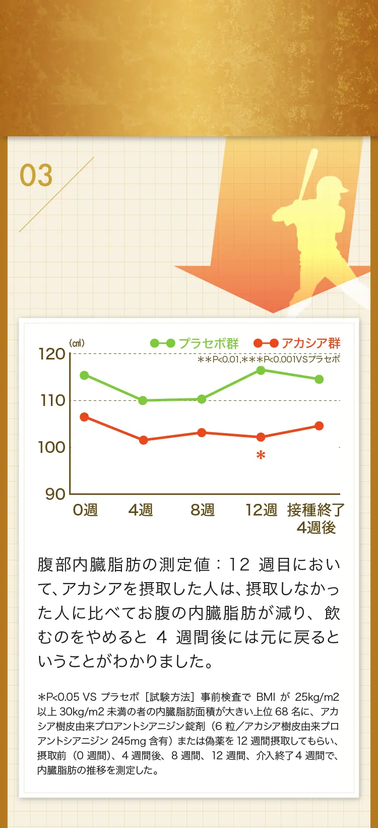 3 肥満気味の方の内臓脂肪を減らす