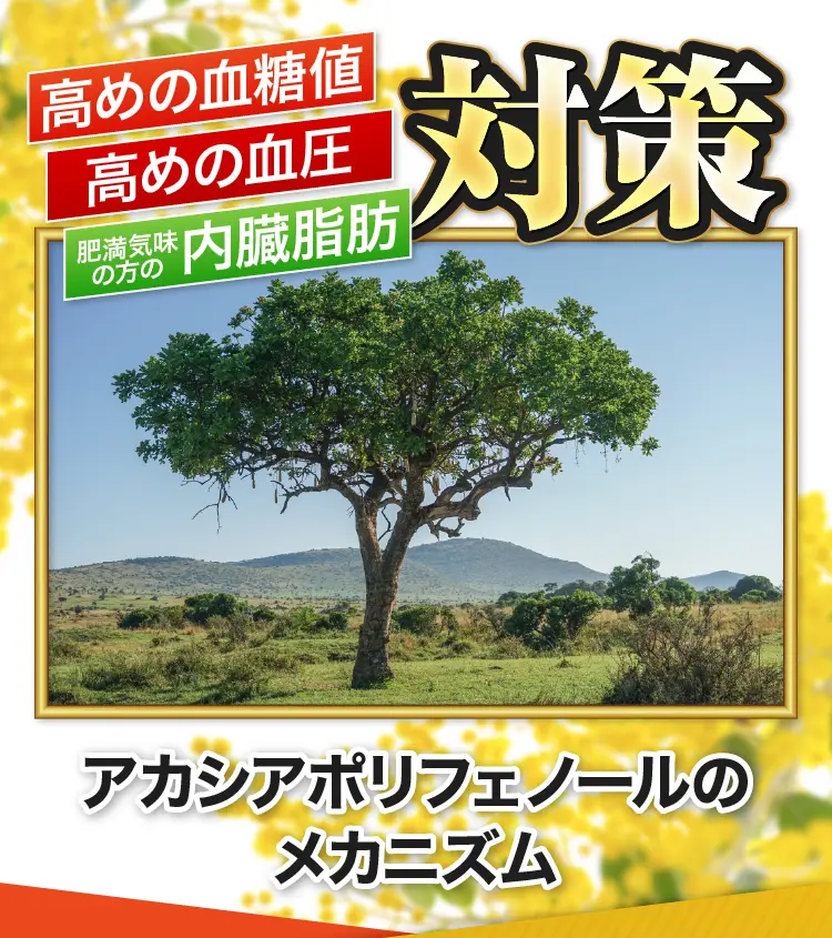 アカポリのメカニズム