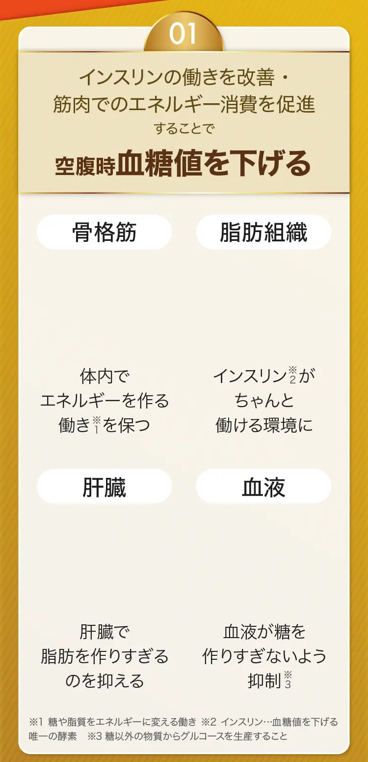 1 血糖値を下げるメカニズム