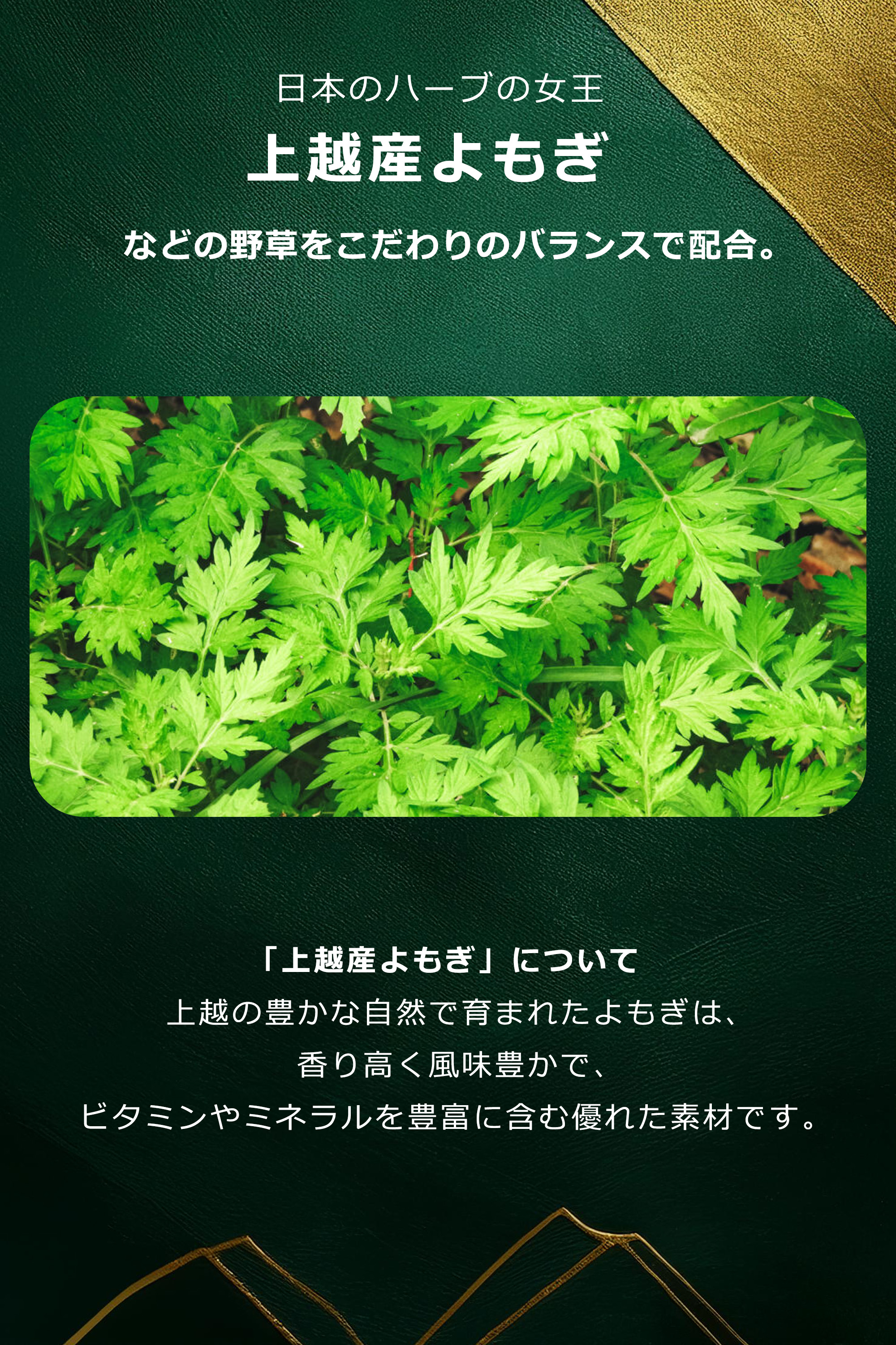 HM スーパー日本酵素DX 90包