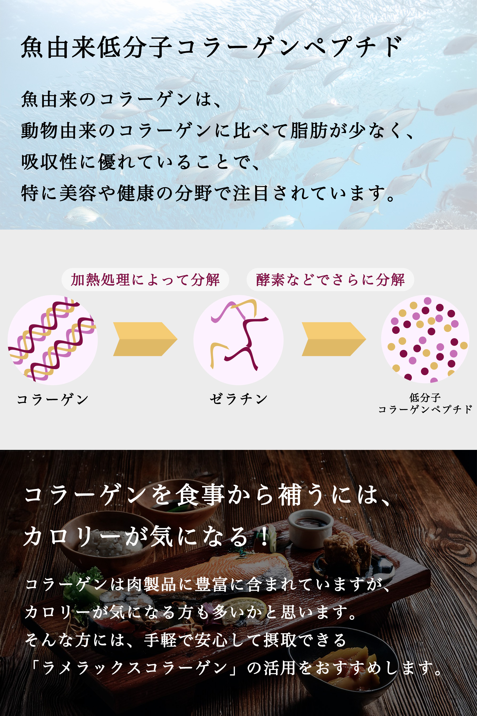 ラメラックスコラーゲン LAMELUX COLLAGEN 100,000mg （12g×10包）