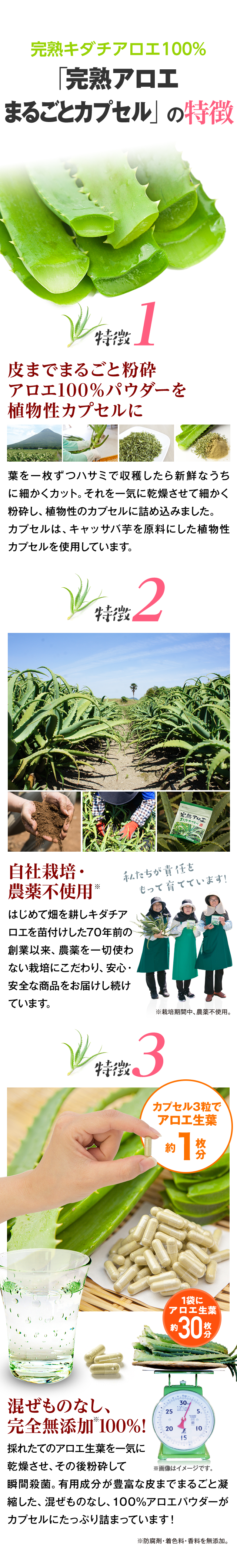 完熟キダチアロエ100%「完熟アロエまるごとカプセル」の特徴