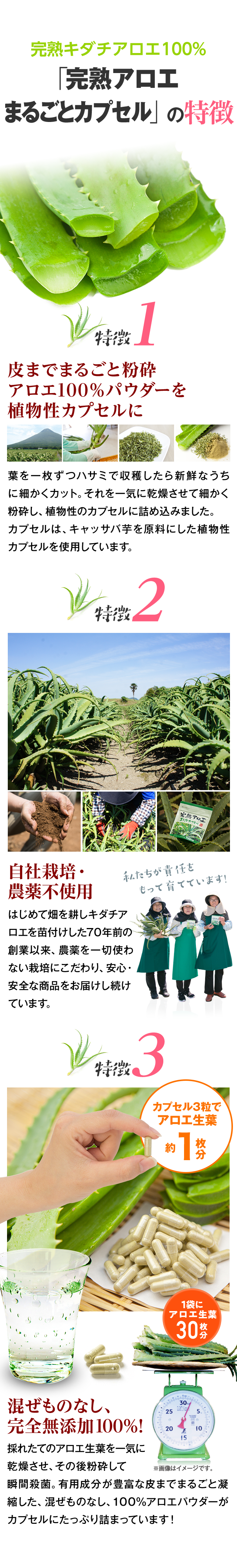 完熟キダチアロエ100%「完熟アロエまるごとカプセル」の特徴