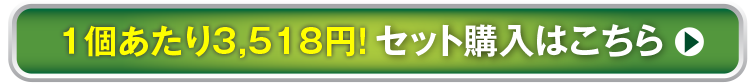 セット購入はこちら