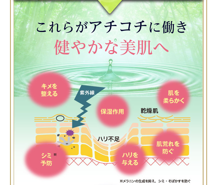 これらがアチコチに働き健やかな美肌へ
