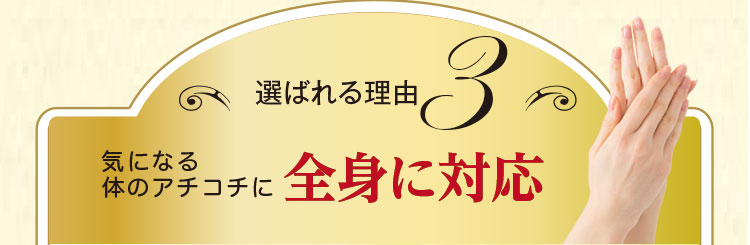 選ばれる理由3 気になる体のアチコチに 全身に対応