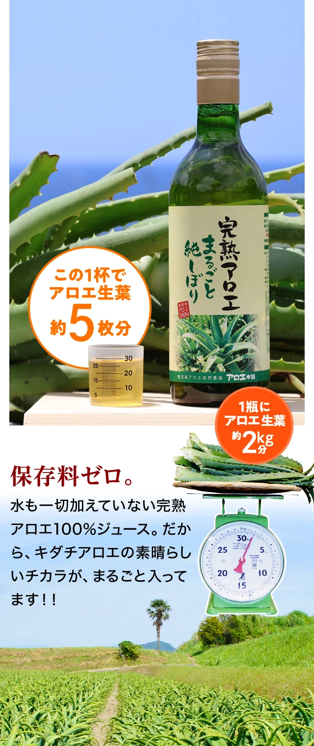 そんなキダチアロエをぎゅっと生しぼり