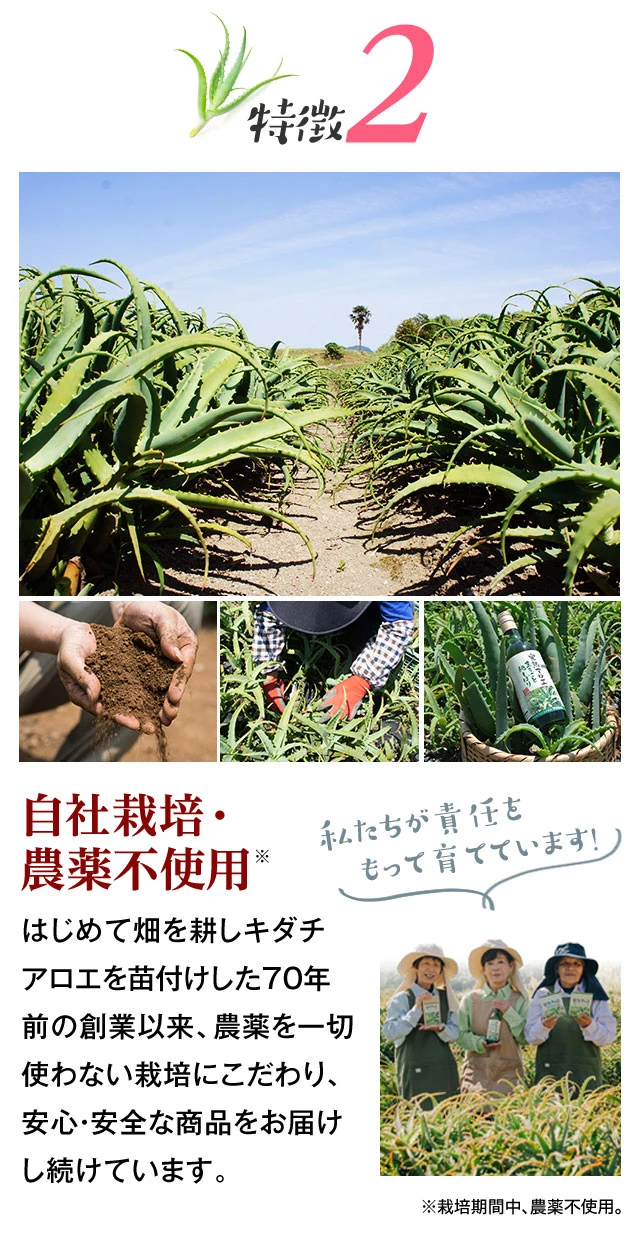 完熟キダチアロエ100%「完熟アロエまるごと純しぼり」の特徴