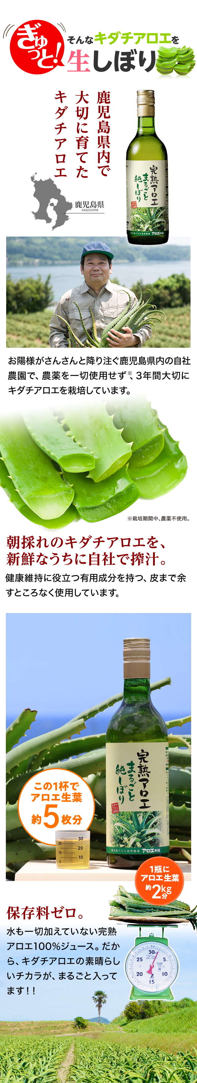 そんなキダチアロエをぎゅっと！生しぼり