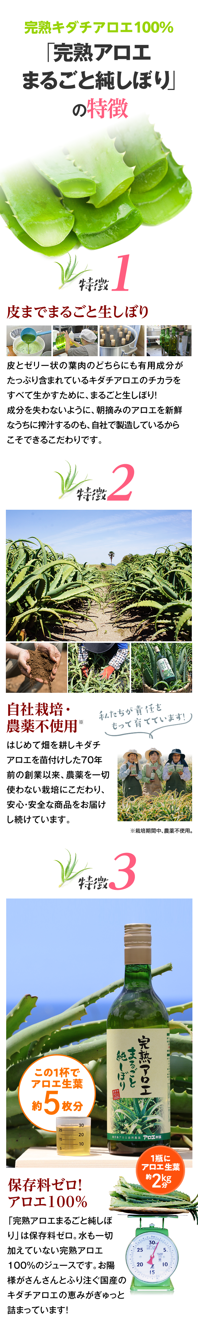 完熟キダチアロエ100%「完熟アロエまるごと純しぼり」の特徴