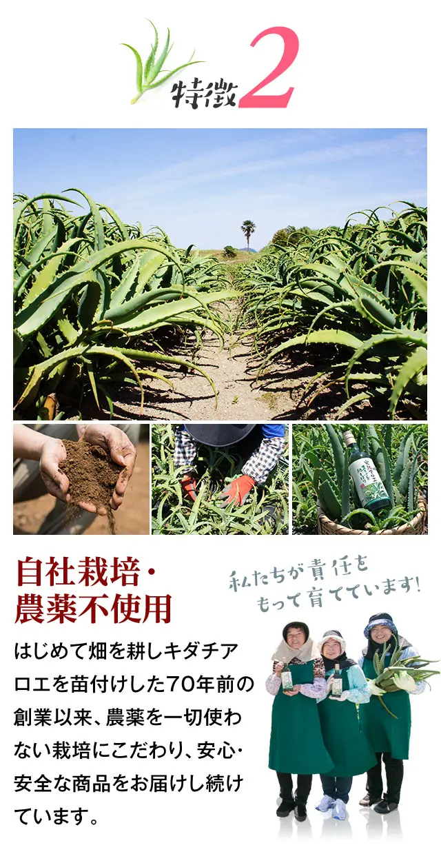 完熟キダチアロエ100%「完熟アロエまるごと純しぼり」の特徴