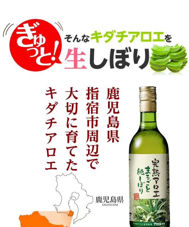そんなキダチアロエをぎゅっと生しぼり