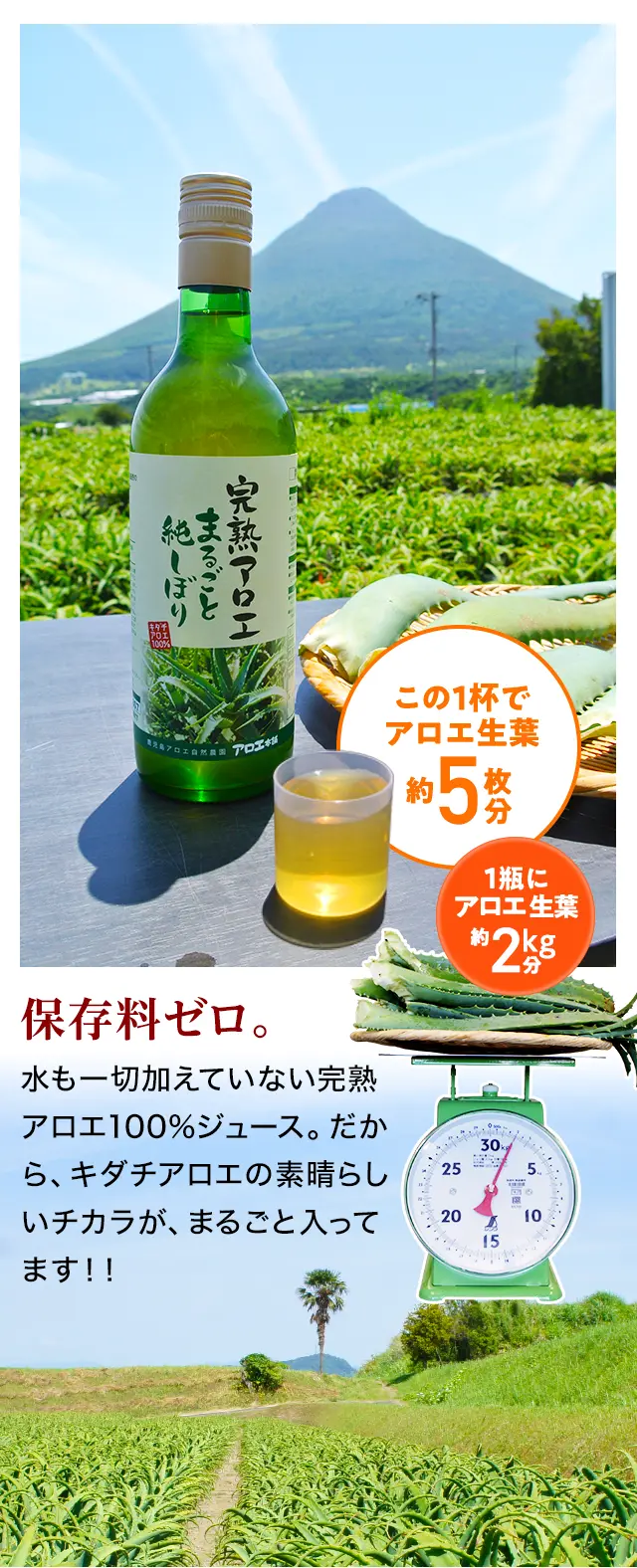 そんなキダチアロエをぎゅっと生しぼり