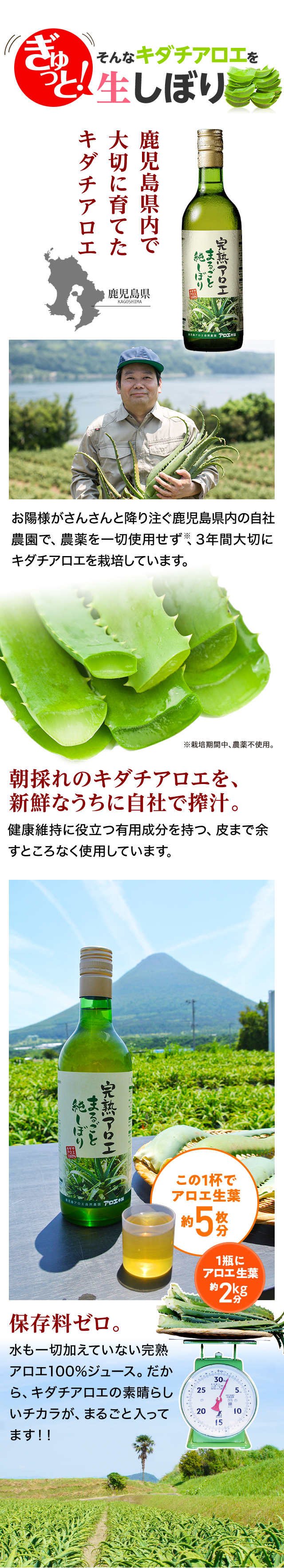 そんなキダチアロエをぎゅっと！生しぼり