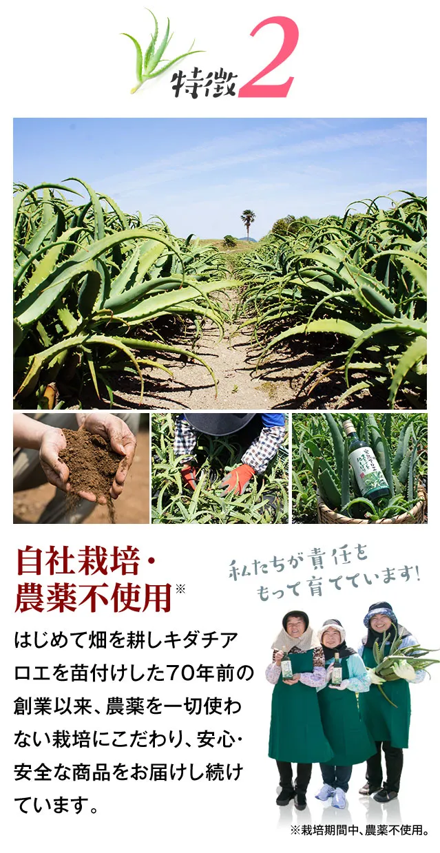 完熟キダチアロエ100%「完熟アロエまるごと純しぼり」の特徴