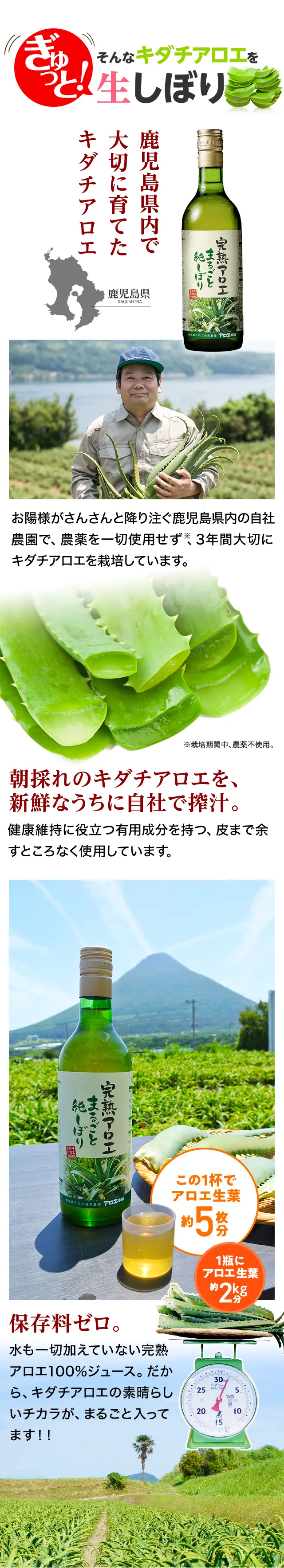 そんなキダチアロエをぎゅっと生しぼり