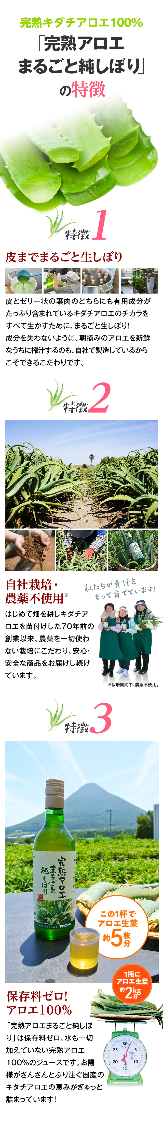 完熟キダチアロエ100%「完熟アロエまるごと純しぼり」の特徴