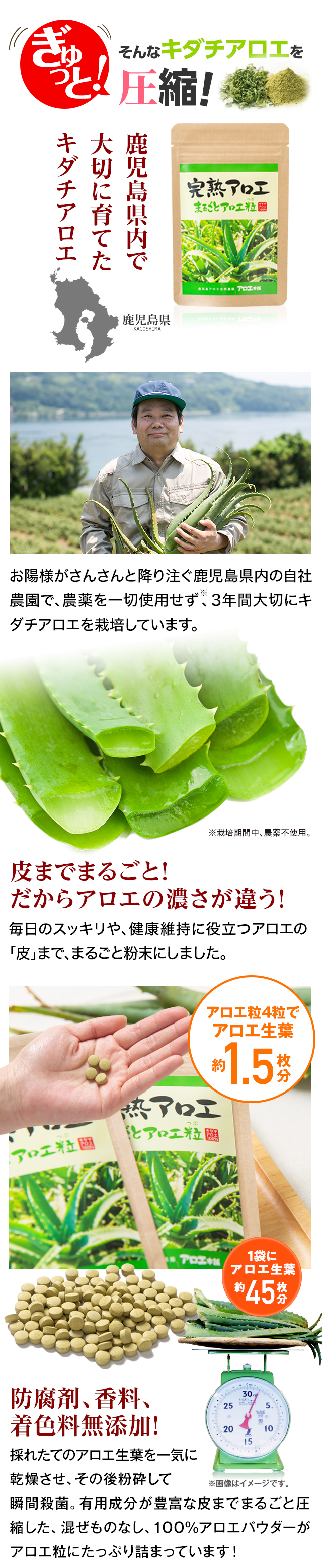 そんなキダチアロエをぎゅっと！生搾り