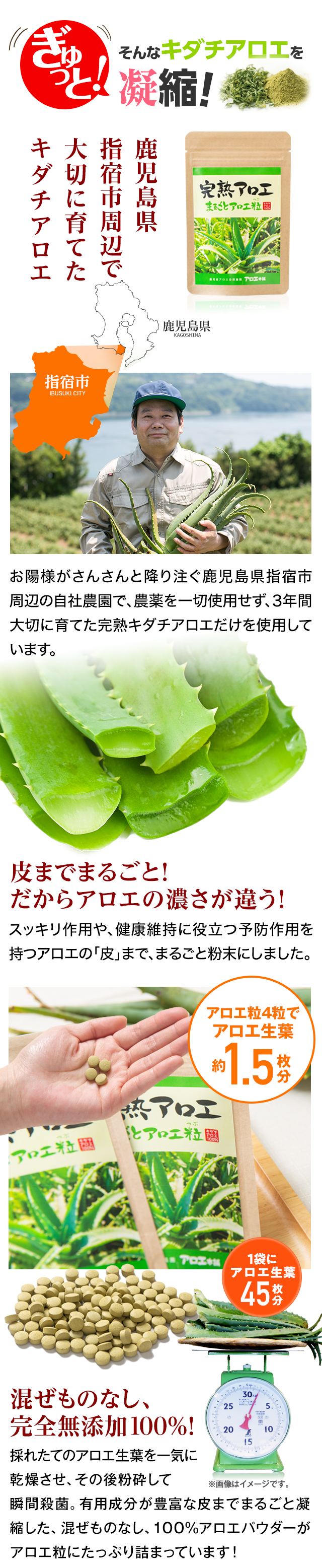 そんなキダチアロエをぎゅっと！生搾り
