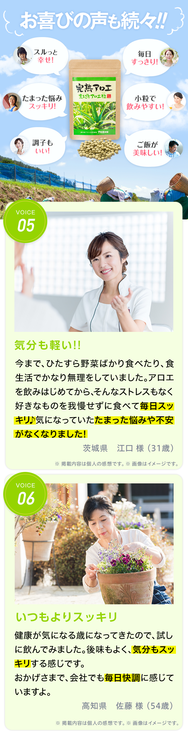完熟キダチアロエ100%「完熟アロエまるごと純しぼり」の特徴