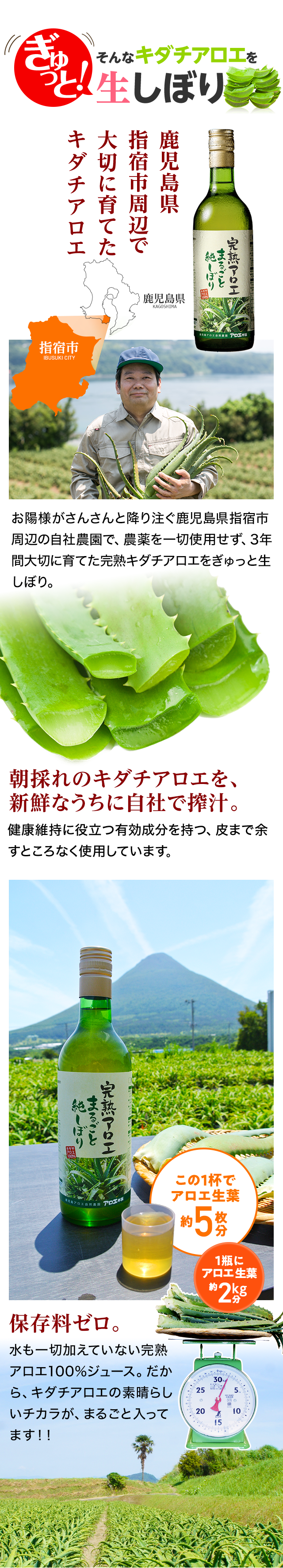 そんなキダチアロエをぎゅっと生しぼり