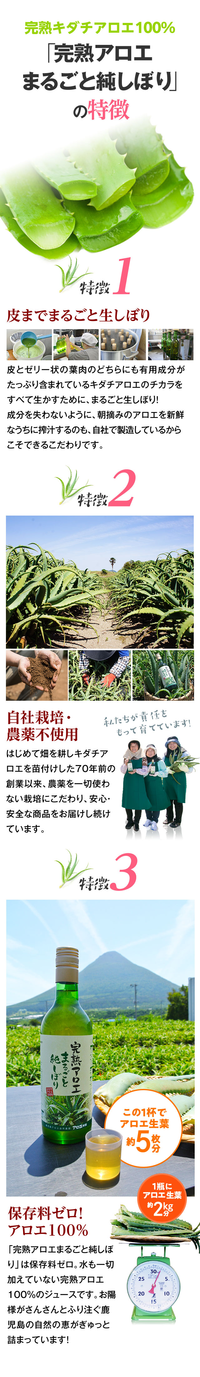 完熟キダチアロエ100%「完熟アロエまるごと純しぼり」の特徴
