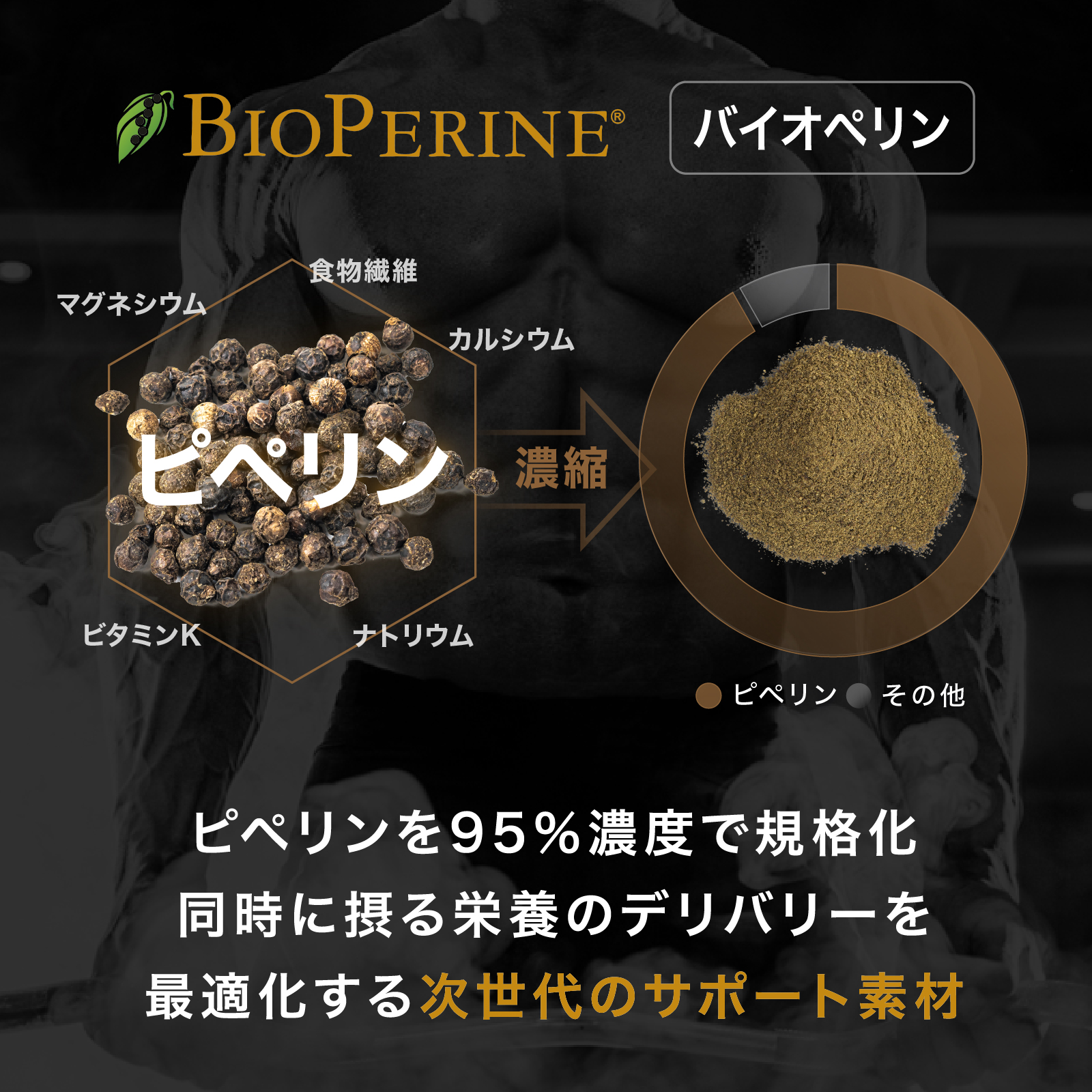 テストチャージSTP