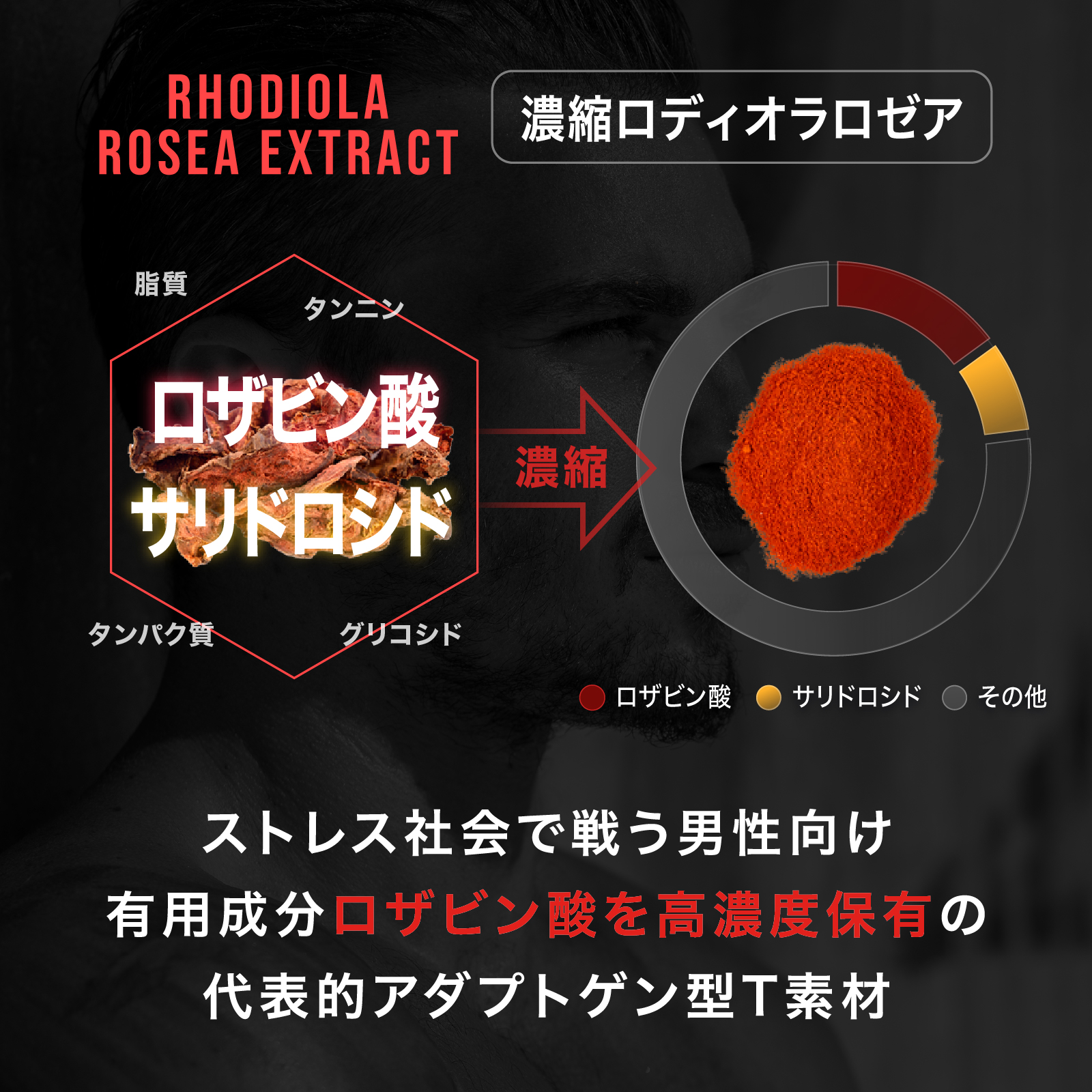 テストエイドOTM