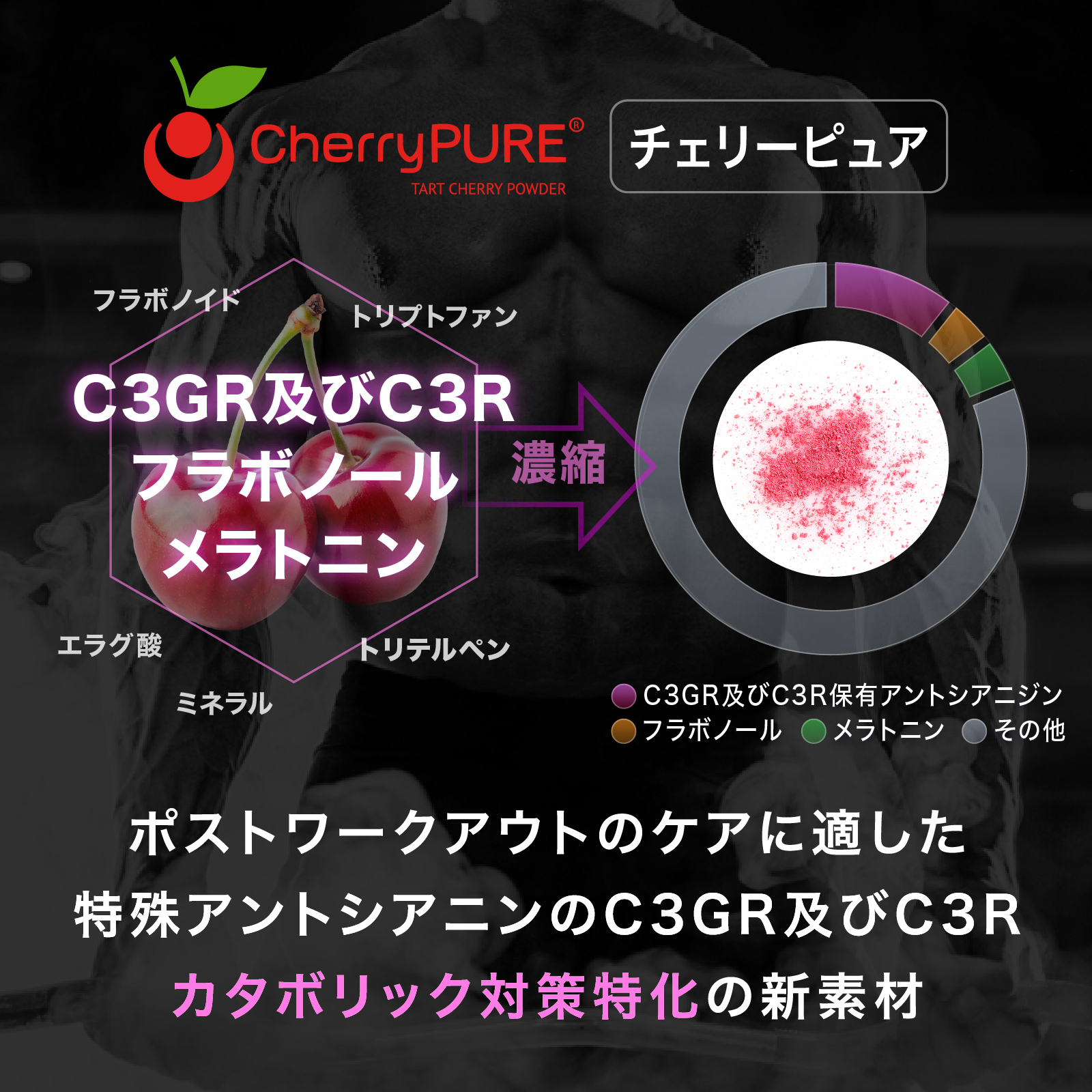 テストチャージSTP