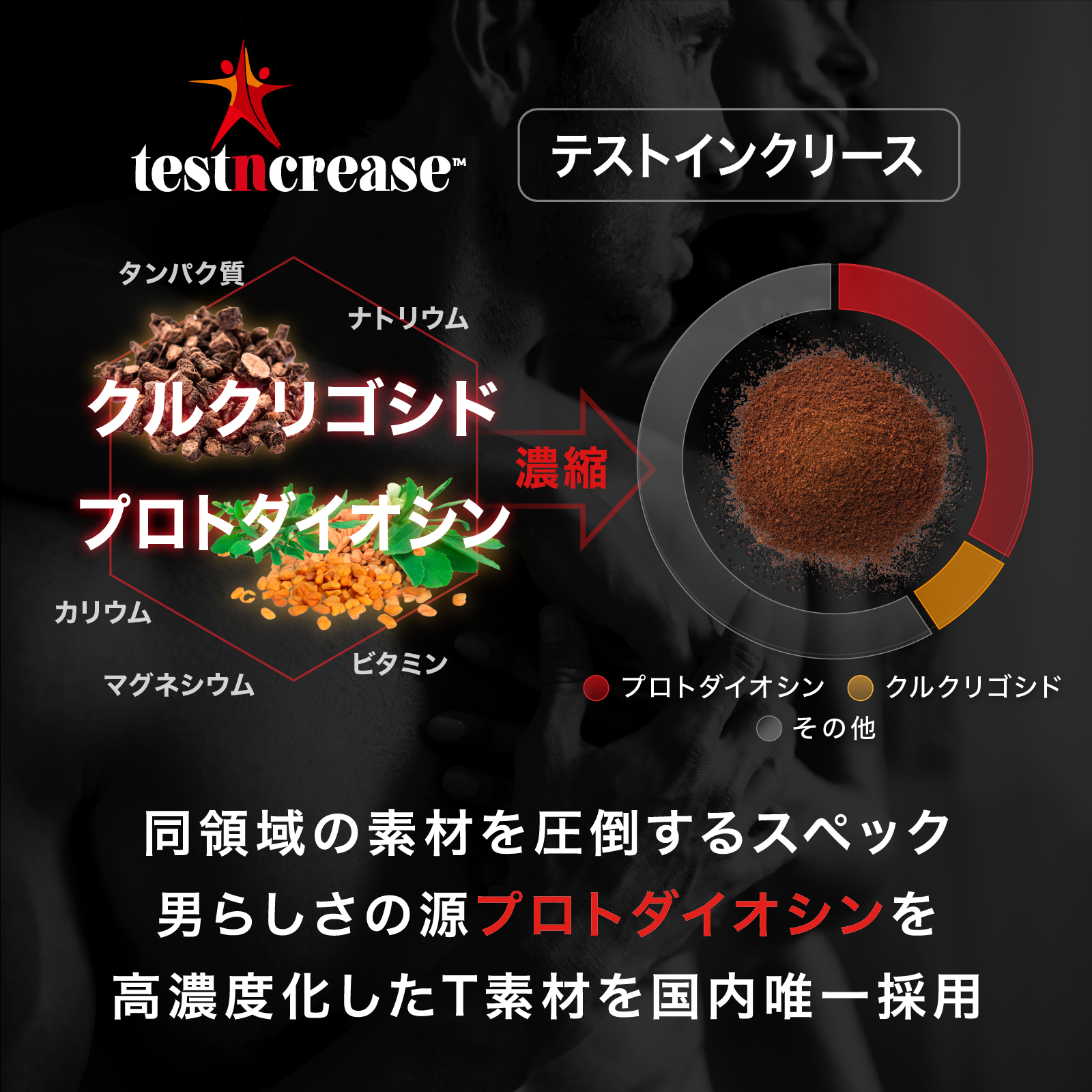 テストインクリースXTA