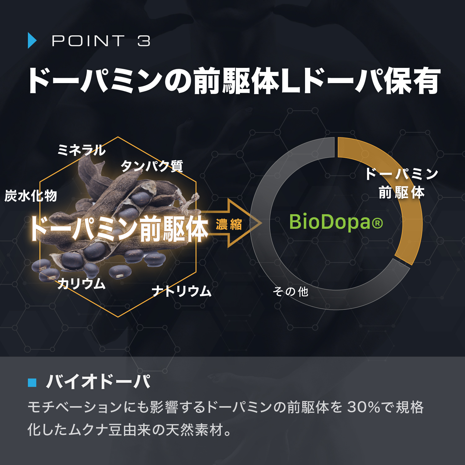 ニトロキューブNOX