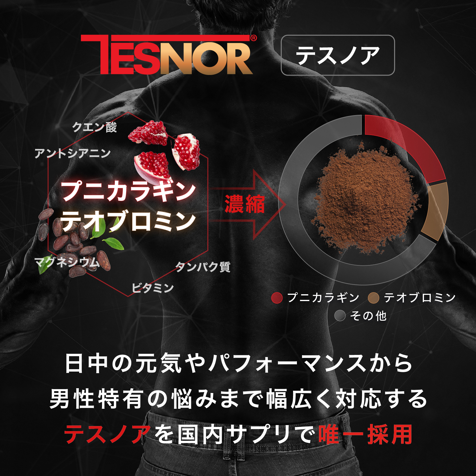 アナボリックピュアRTB