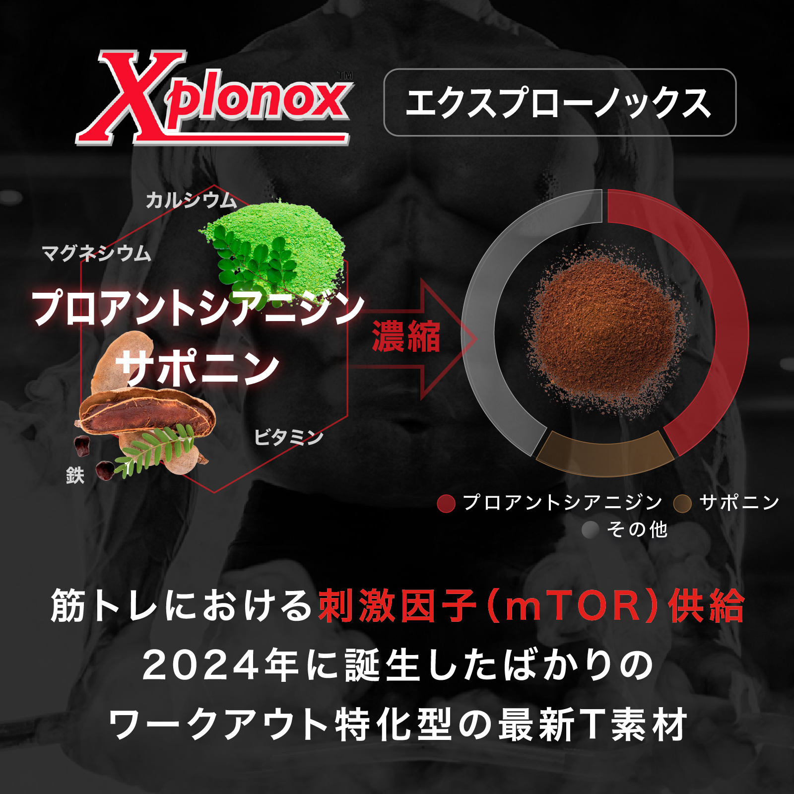 テストチャージSTP