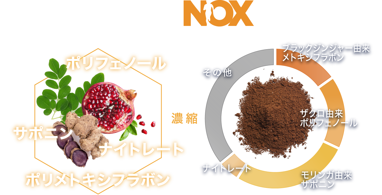 FITNOX