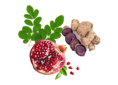 フィトノックス